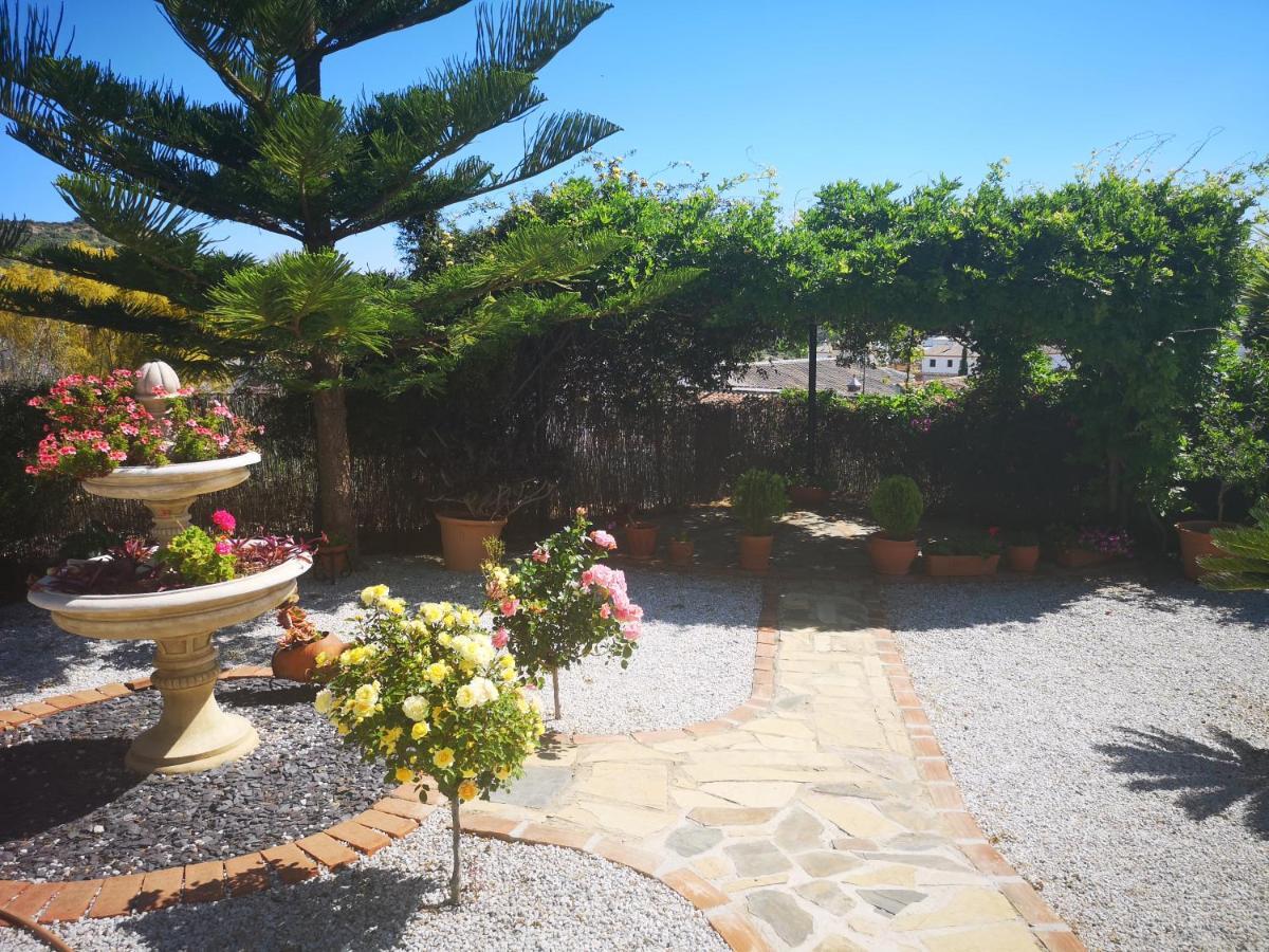 Villa Casa Las Fresas อัลเกาซิน ภายนอก รูปภาพ